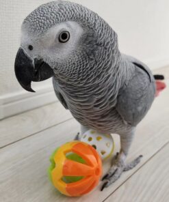 Alternative view of Sully