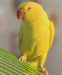 Alternative view of Sarah