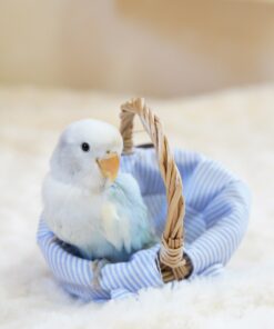 Alternative view of Kate