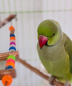 Alternative view of Daniel