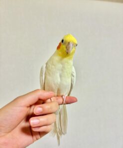 Alternative view of Emma