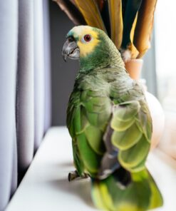 Alternative view of Charlie